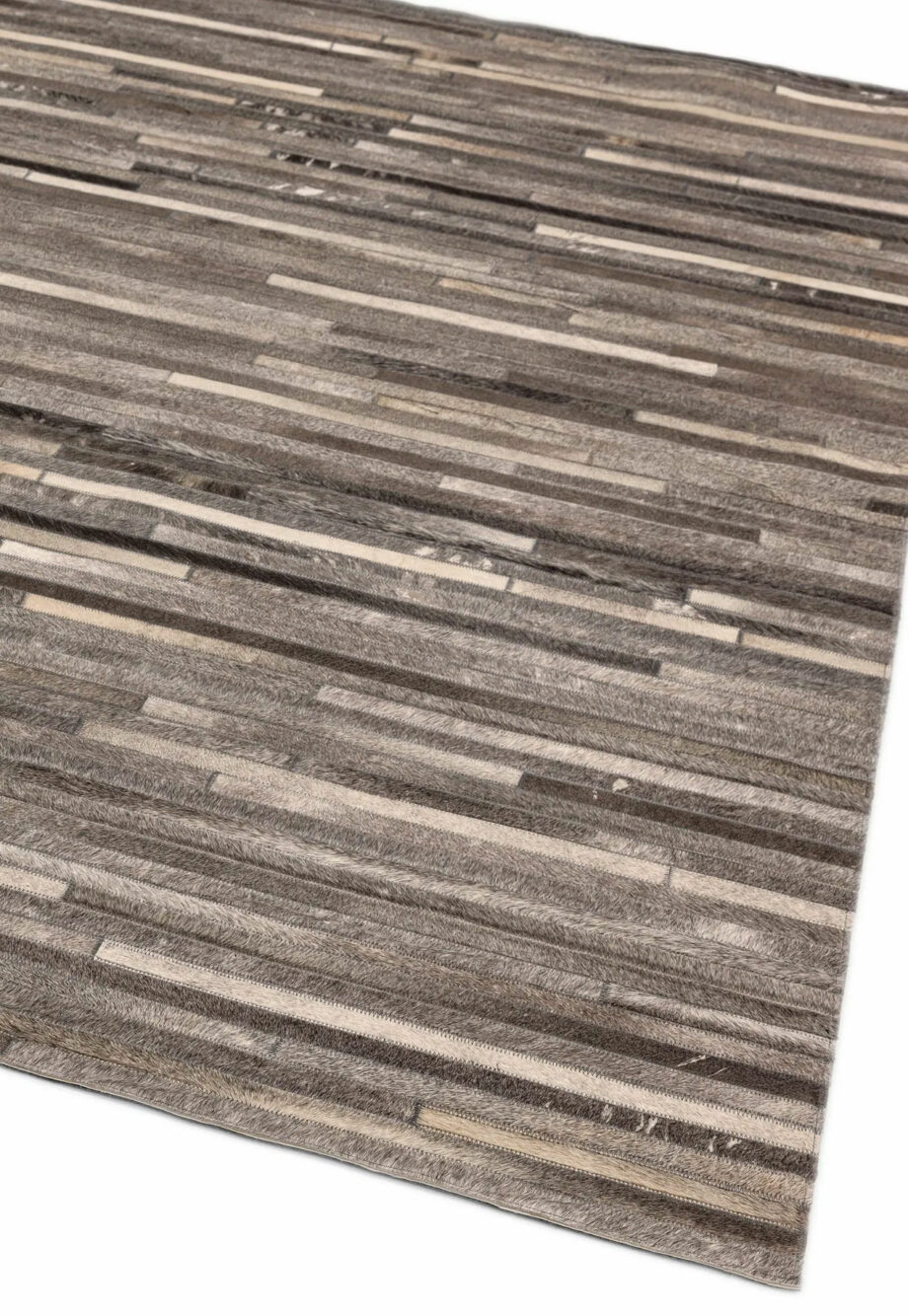 Asiatic Gaucho dark grey 1