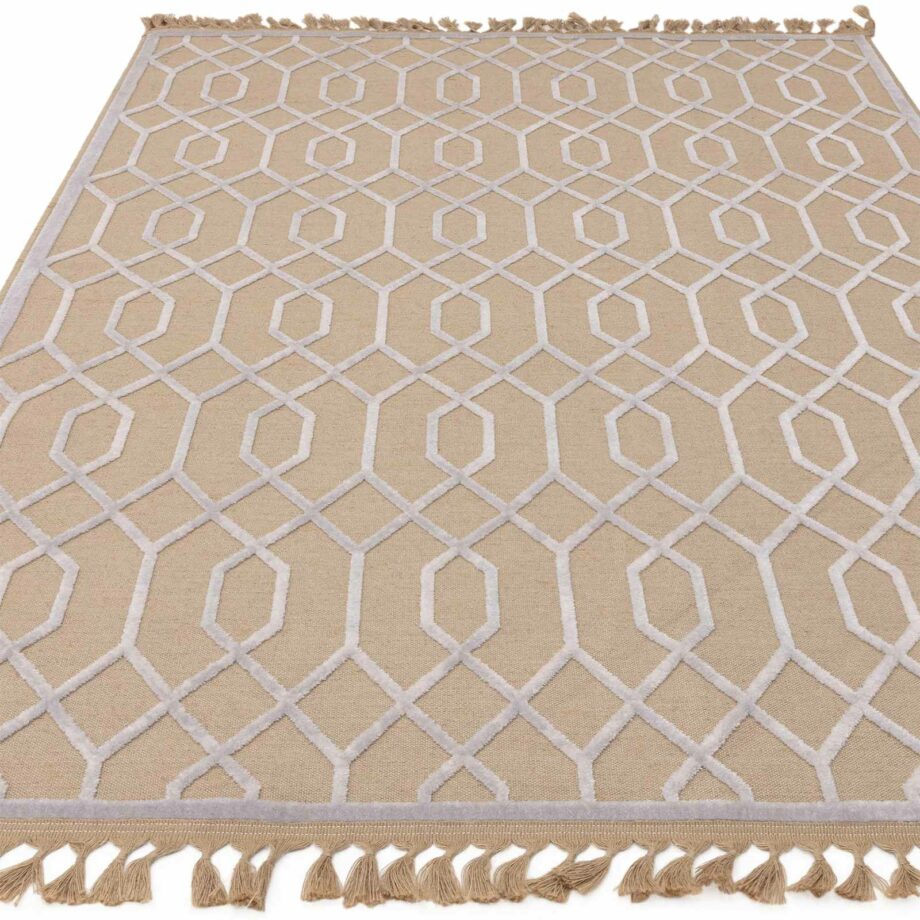 Asiatic Global 05 ivory diamond 1