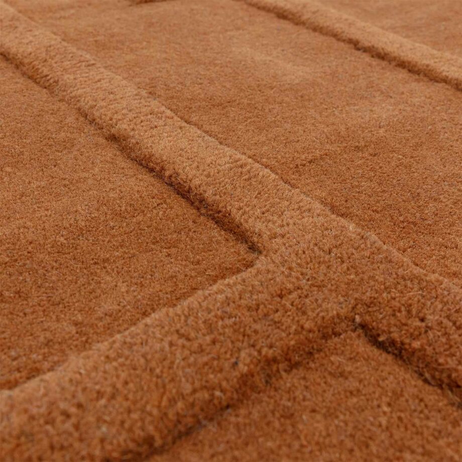 Asiatic Maze rust 4