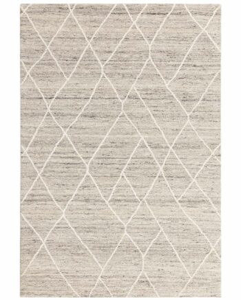 Asiatic Noah silver
