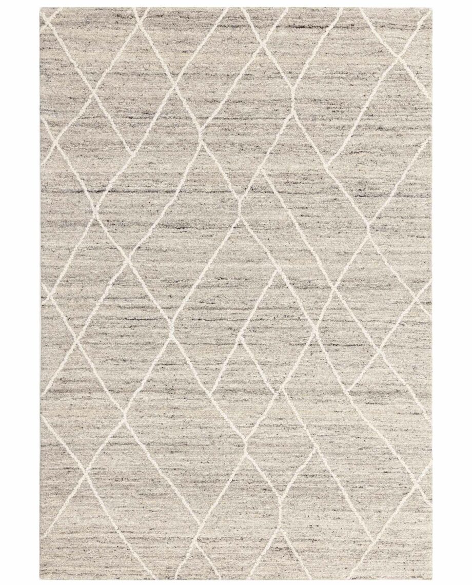 Asiatic Noah silver