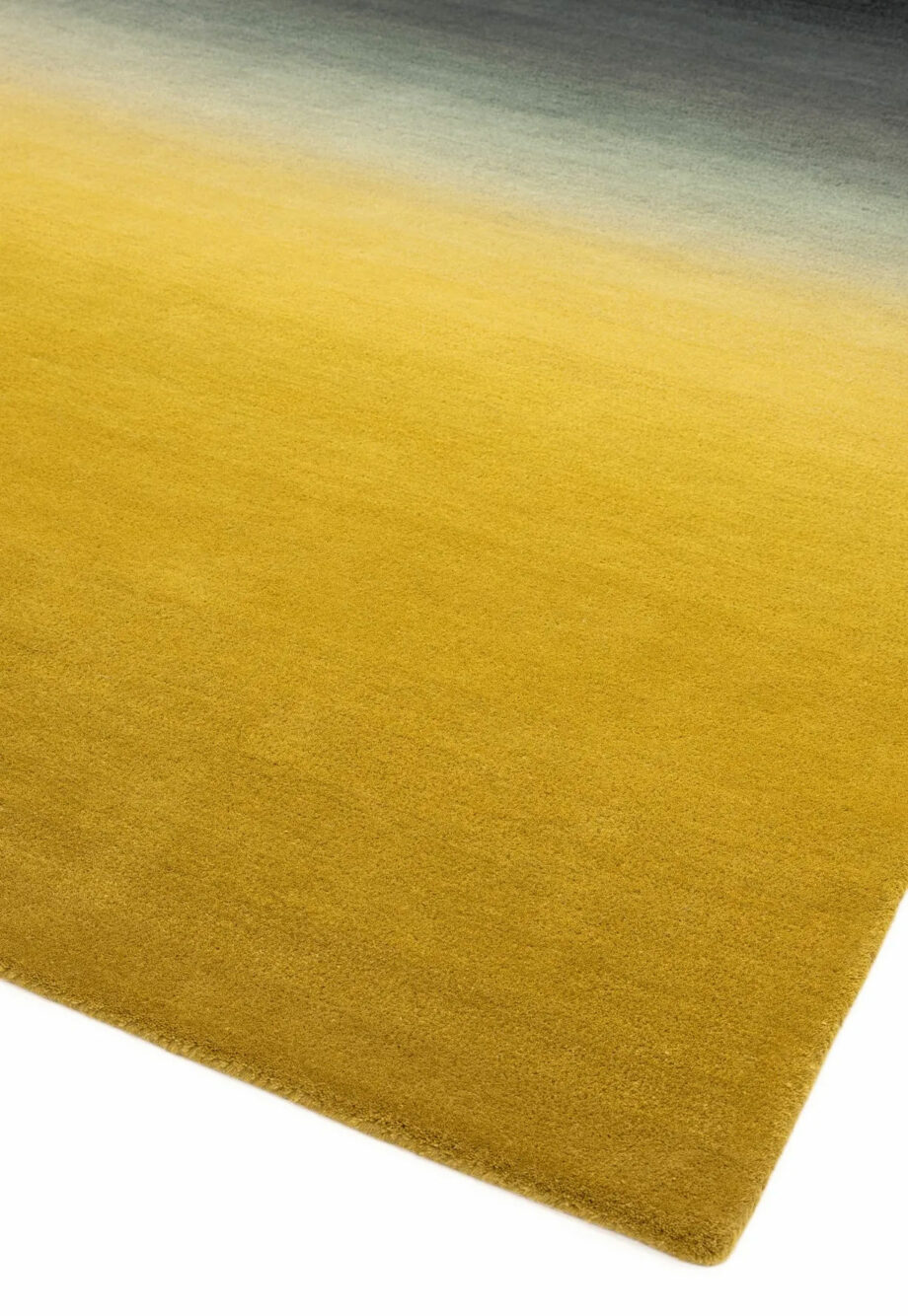 Asiatic Ombre mustard 2