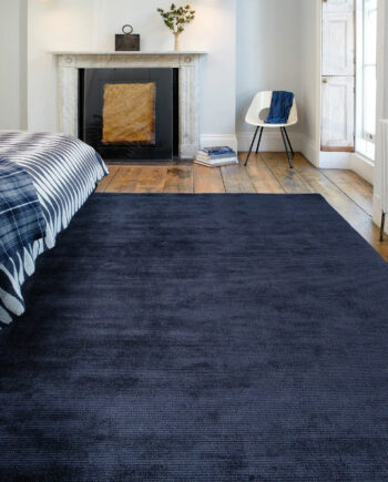 Asiatic Reko navy