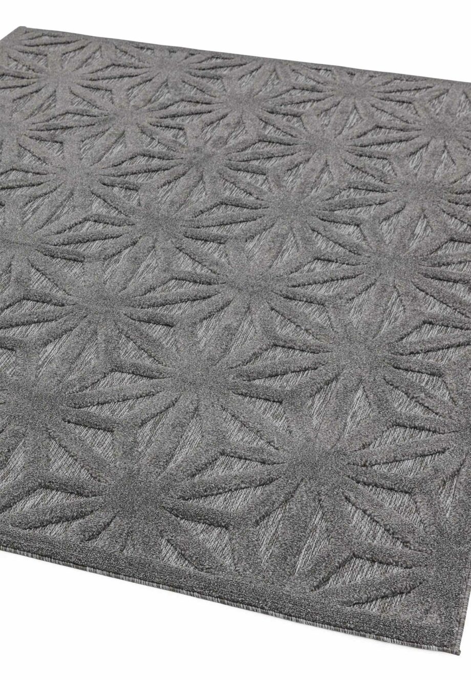 Asiatic Salta SA01anthracitestar 1