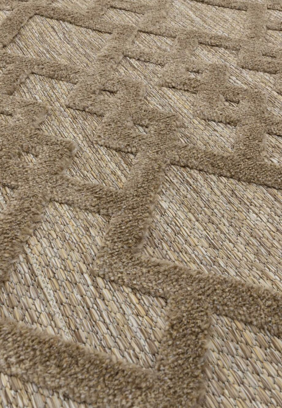 Asiatic Salta SA04brownlinks 4
