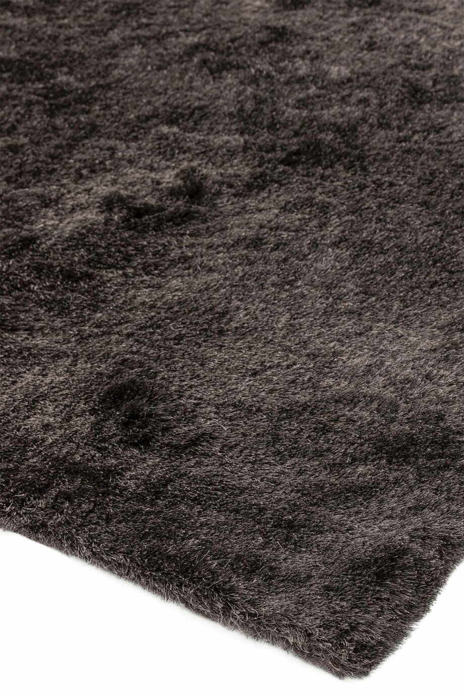 Asiatic Whisper graphite 2