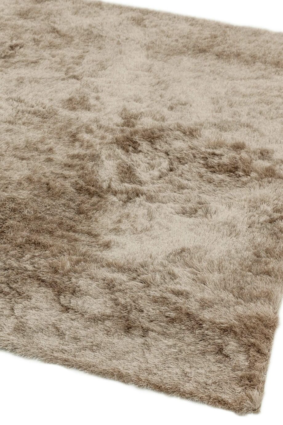 Asiatic Whisper mocha 1