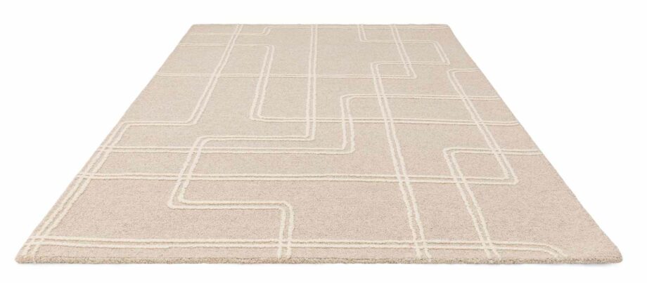 Asiatic matta Ada Sand 1 3D
