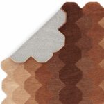 Asiatic matta Hive Rust 3