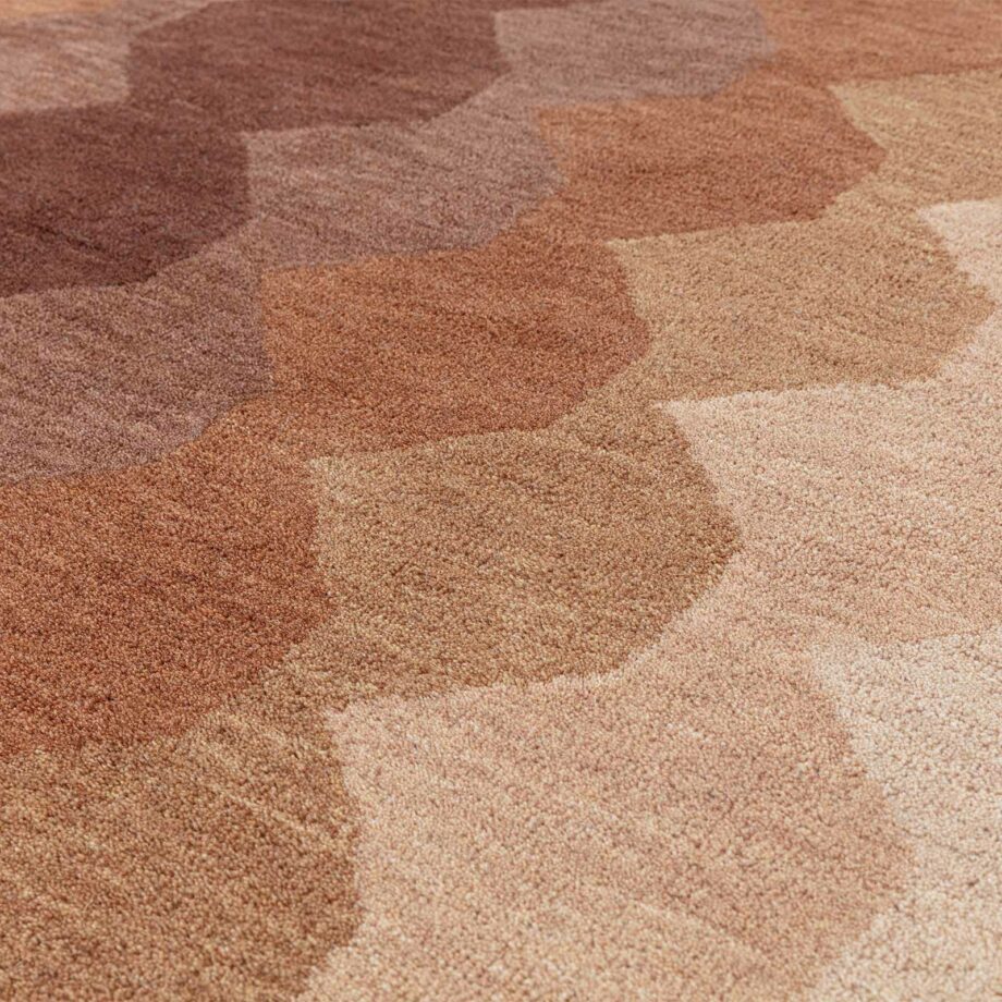 Asiatic matta Hive Rust 4
