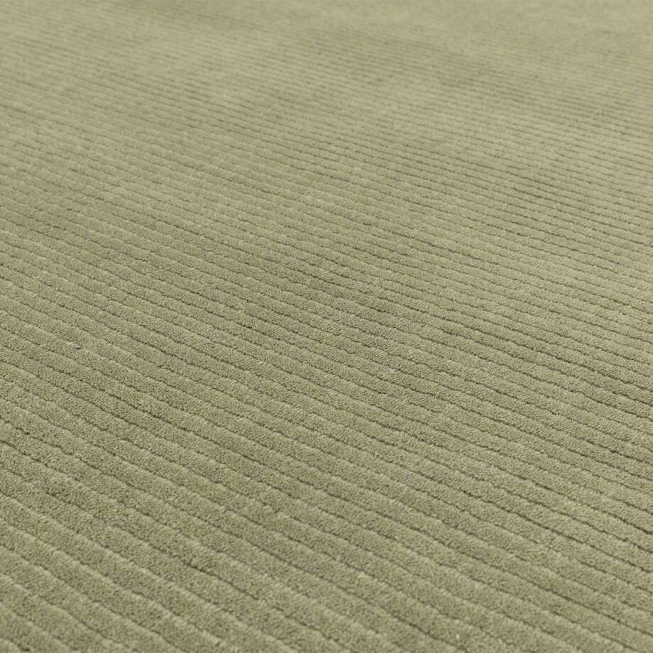 Asiatic matta York Sage 4